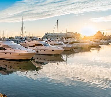 _b_0004_iStock-1224818316