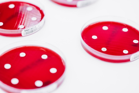 Antibiotika Resistenz
