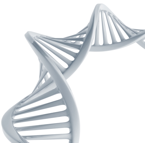 Humangenetische Untersuchungen